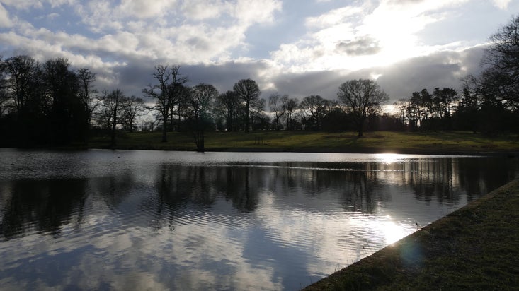 View across the lake at Packwood House, Warwickshire, on a winter's day. The trees surrounding the lake are leafless and the sun breaks through the clouds.